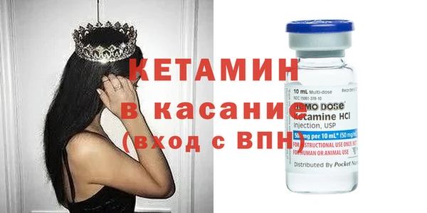 сатива Абинск