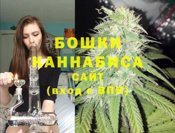 сатива Абинск