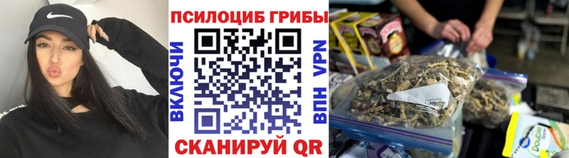 где найти   Чухлома  Псилоцибиновые грибы прущие грибы 
